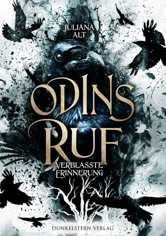 Produktbild: Odins Ruf - Verblasste Erinnerung