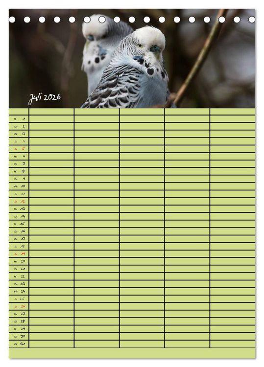 Produktbild: Der Wellensittich-Familienplaner (Tischkalender 2026 DIN A5 hoch), CALVENDO Monatskalender