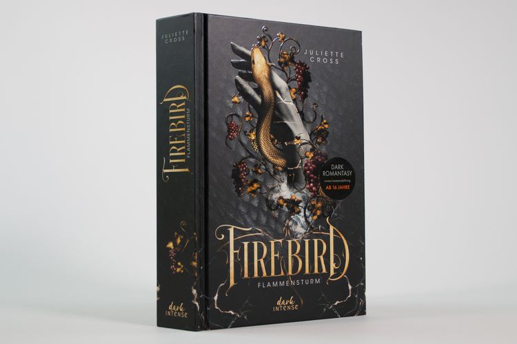 Produktbild: Flammensturm (Band 1) - Firebird