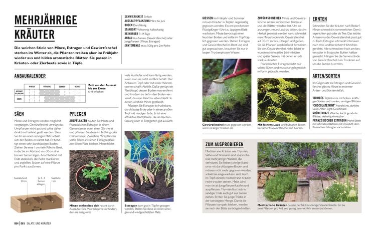 Produktbild: Gr&uuml;nes Gartenwissen. Gem&uuml;se anbauen