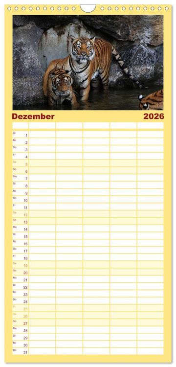 Produktbild: Familienplaner 2026 - Tiger mit 5 Spalten (Wandkalender, 21 x 45 cm) CALVENDO