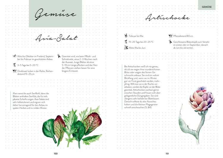 Produktbild: Hochbeet-Gl&uuml;ck &ndash; Das illustrierte Gartenbuch