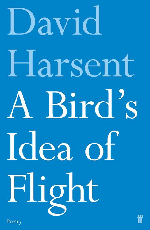 Produktbild: A Bird's Idea of Flight