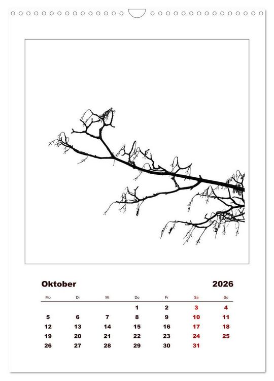 Produktbild: LignoGrafica - Muster und Strukturen der B&auml;ume (Wandkalender 2026 DIN A3 hoch), CALVENDO Monatskalender