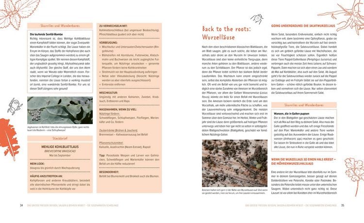 Produktbild: Wer knabbert da an meinem Gem&uuml;se?
