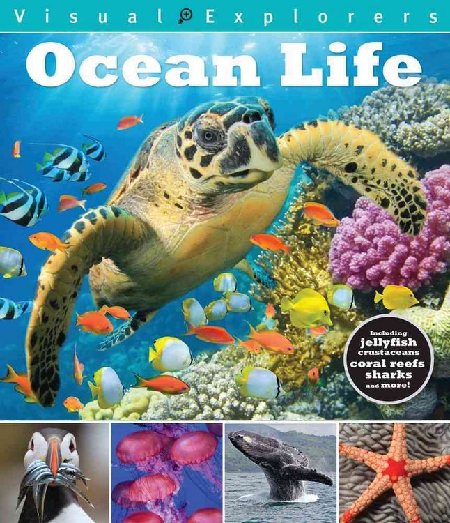 Produktbild: Ocean Life