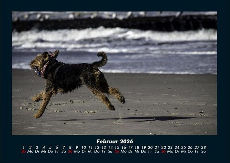 Produktbild: Hundezauber 2026 Fotokalender DIN A4