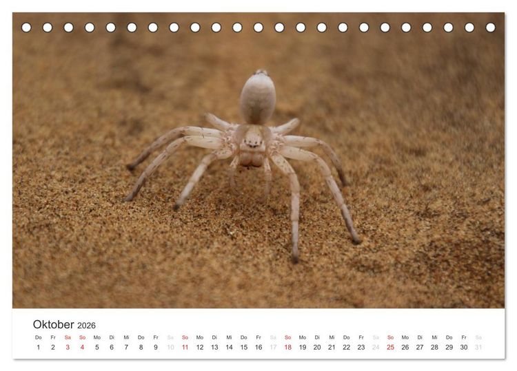 Produktbild: Namibia - Tierische Vielfalt (Tischkalender 2026 DIN A5 quer), CALVENDO Monatskalender