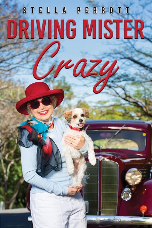 Produktbild: Driving Mister Crazy