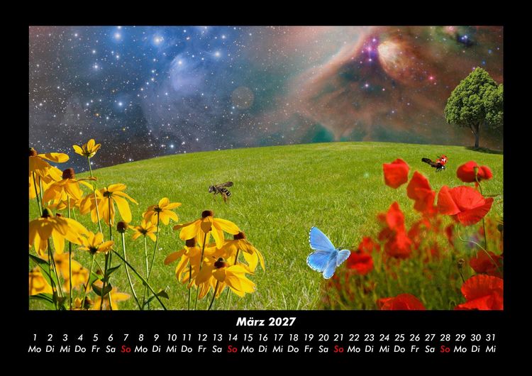Produktbild: Blumentr&auml;ume 2027 Fotokalender DIN A3