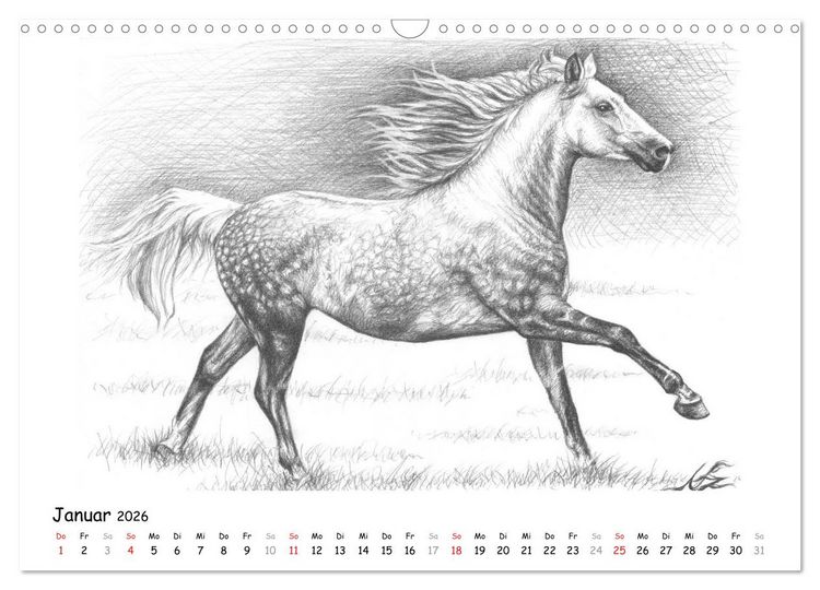 Produktbild: Arts & Horses (Wandkalender 2026 DIN A3 quer), CALVENDO Monatskalender