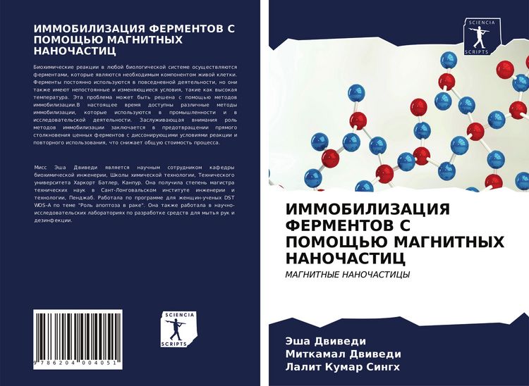 Produktbild: Immobilizaciya Fermentov S Pomoshh'ju Magnitnyh Nanochastic