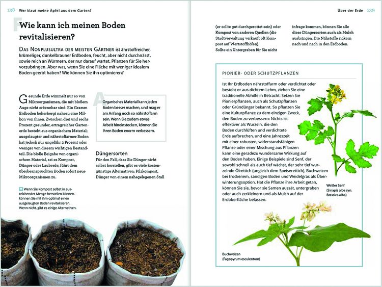 Produktbild: Wer klaut meine &Auml;pfel aus dem Garten