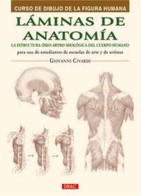 Produktbild: L&aacute;minas de anatom&iacute;a : la estructura &oacute;seo-artro-miol&oacute;gica del cuerpo humano