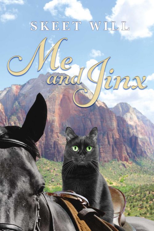 Produktbild: Me and Jinx