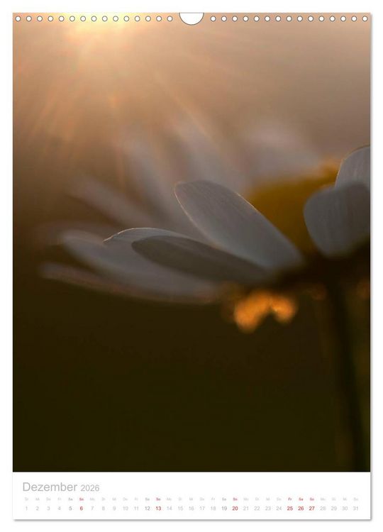 Produktbild: Wiesenblumen (Wandkalender 2026 DIN A3 hoch), CALVENDO Monatskalender