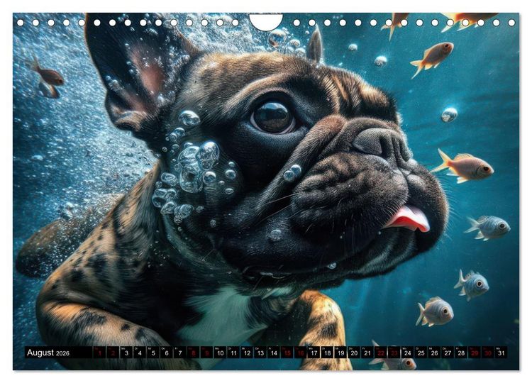 Produktbild: Badespa&szlig; - Hunde unter Wasser (Wandkalender 2026 DIN A4 quer), CALVENDO Monatskalender