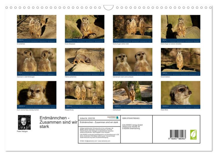 Produktbild: Erdm&auml;nnchen - Zusammen sind wir stark (Wandkalender 2026 DIN A3 quer), CALVENDO Monatskalender