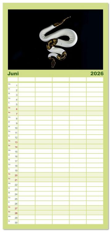 Produktbild: Familienplaner 2026 - Faszination Schlangen mit 5 Spalten (Wandkalender, 21 x 45 cm) CALVENDO