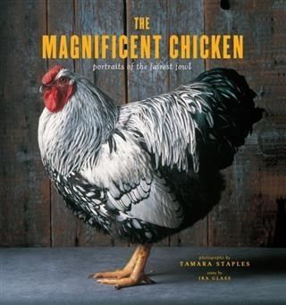 Produktbild: Magnificent Chicken