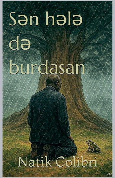 Produktbild: S&iquest;n h&iquest;l&iquest; d&iquest; burdasan