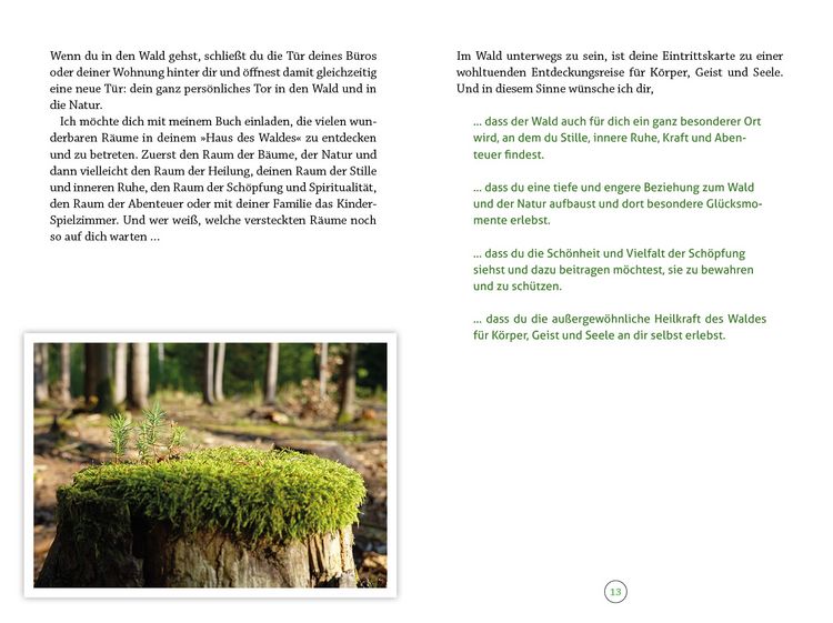 Produktbild: Wohlf&uuml;hlort Wald