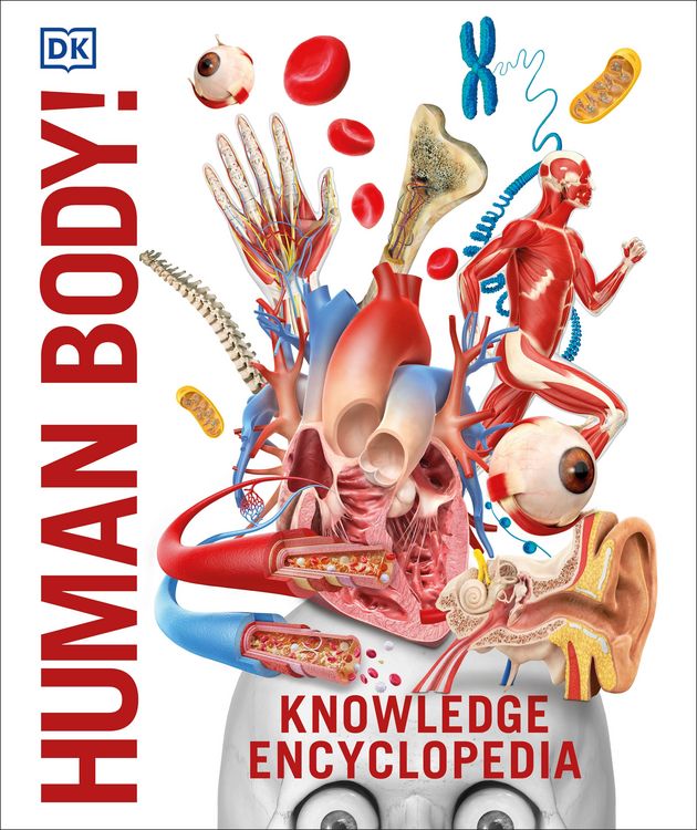 Produktbild: Knowledge Encyclopedia Human Body!