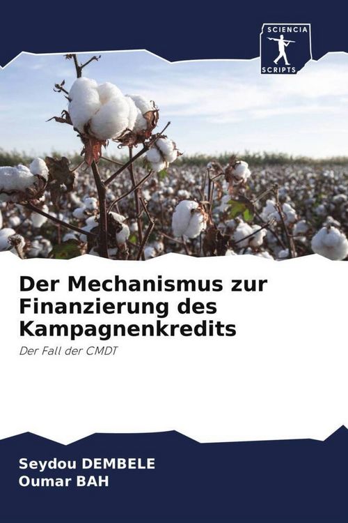 Produktbild: Der Mechanismus zur Finanzierung des Kampagnenkredits