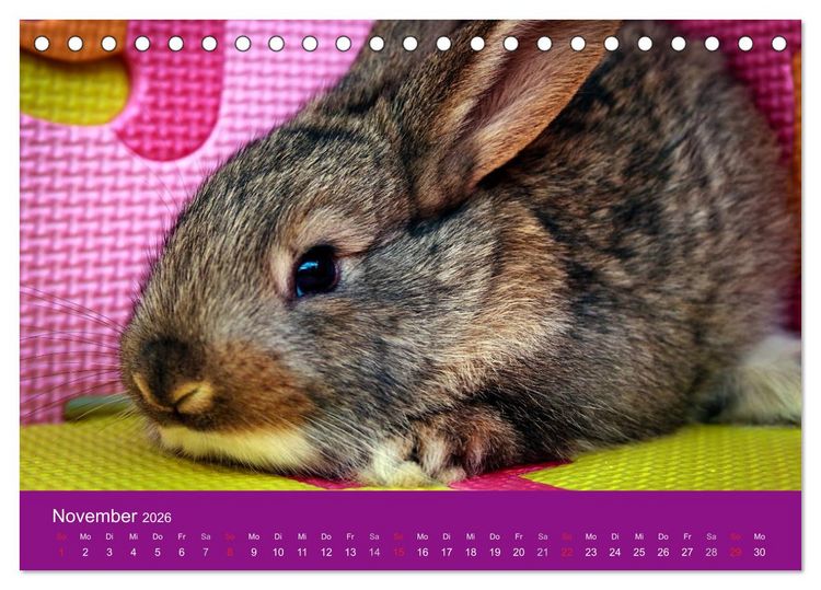 Produktbild: Lustige Kaninchen (Tischkalender 2026 DIN A5 quer), CALVENDO Monatskalender