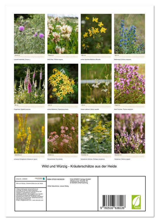 Produktbild: Wild und W&uuml;rzig - Kr&auml;utersch&auml;tze aus der Heide (Wandkalender 2026 DIN A4 hoch), CALVENDO Monatskalender