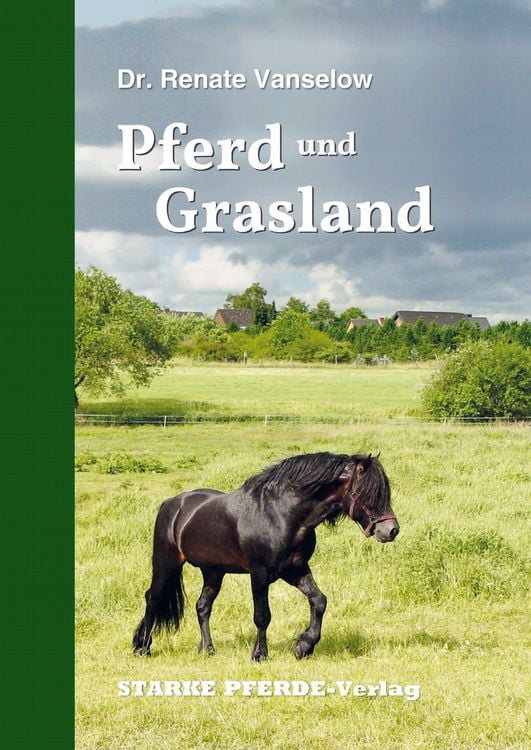 Produktbild: Pferd und Grasland