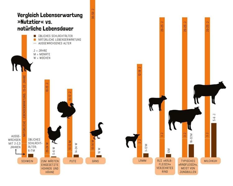 Produktbild: Tiere wollen leben!