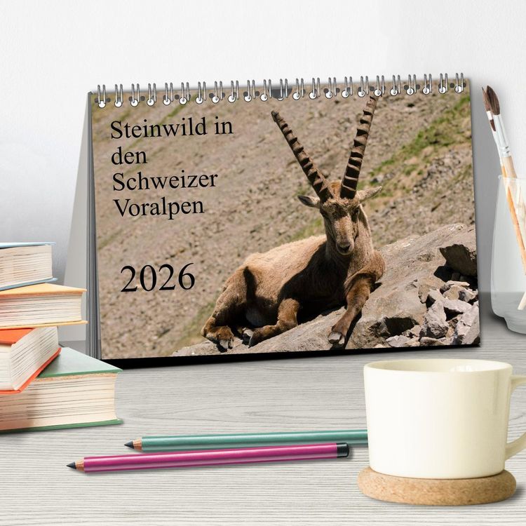 Produktbild: Steinwild in den Schweizer Voralpen (Tischkalender 2026 DIN A5 quer), CALVENDO Monatskalender