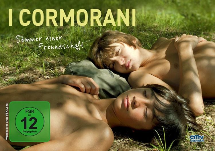 Produktbild: I cormorani - Sommer einer Freundschaft