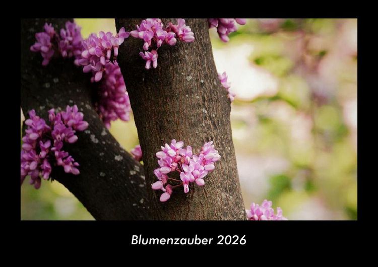 Produktbild: Blumenzauber 2026 Fotokalender DIN A3