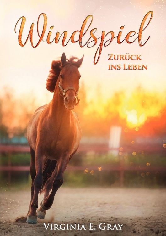 Produktbild: Windspiel - Zur&uuml;ck ins Leben