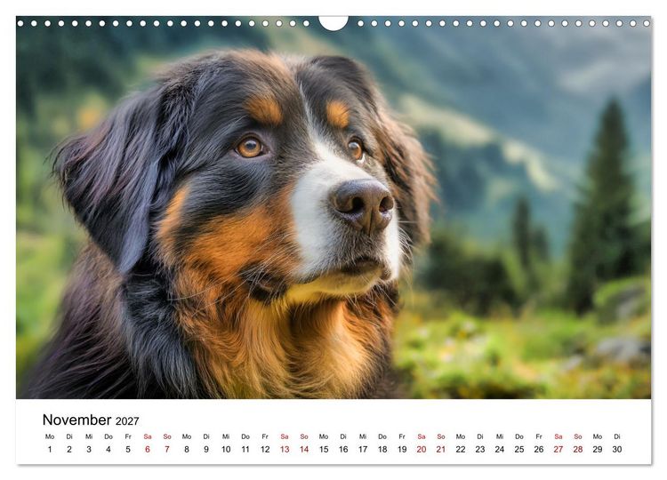 Produktbild: Stolz und Sanftmut - Berner Sennenhunde (Wandkalender 2027 DIN A3 quer), CALVENDO Monatskalender