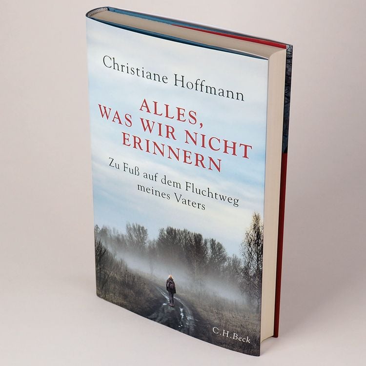 Produktbild: Alles, was wir nicht erinnern