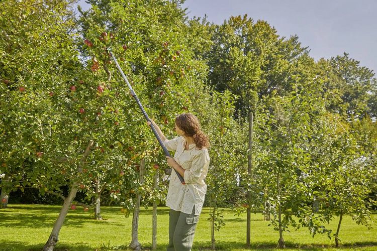 Produktbild: GARDENA combisystem Asthaken 17401-20