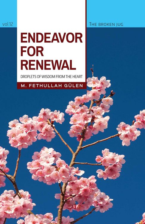 Produktbild: Endeavor for Renewal