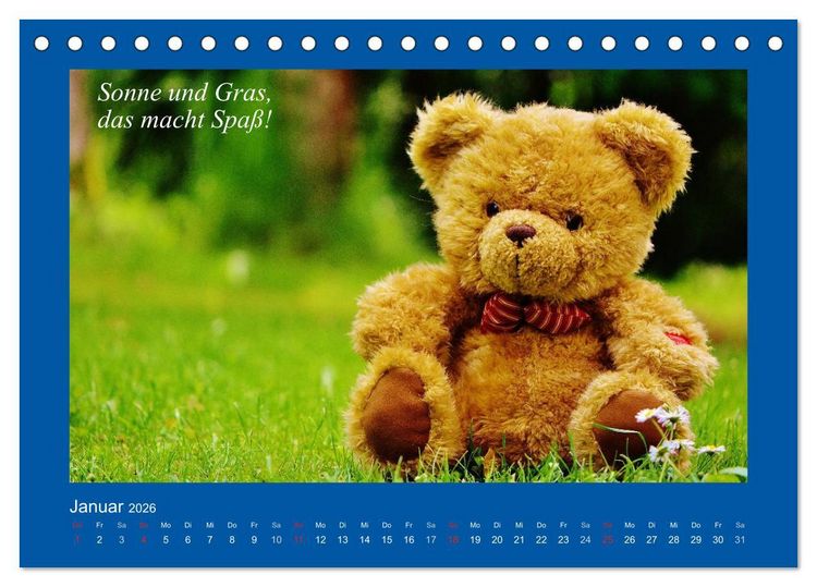 Produktbild: Sommer im Teddy-Land. B&auml;r und Freunde (Tischkalender 2026 DIN A5 quer), CALVENDO Monatskalender