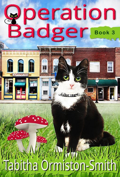 Produktbild: Operation Badger (Operation Tomcat, #3)