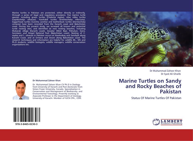 Produktbild: Marine Turtles on Sandy and Rocky Beaches of Pakistan