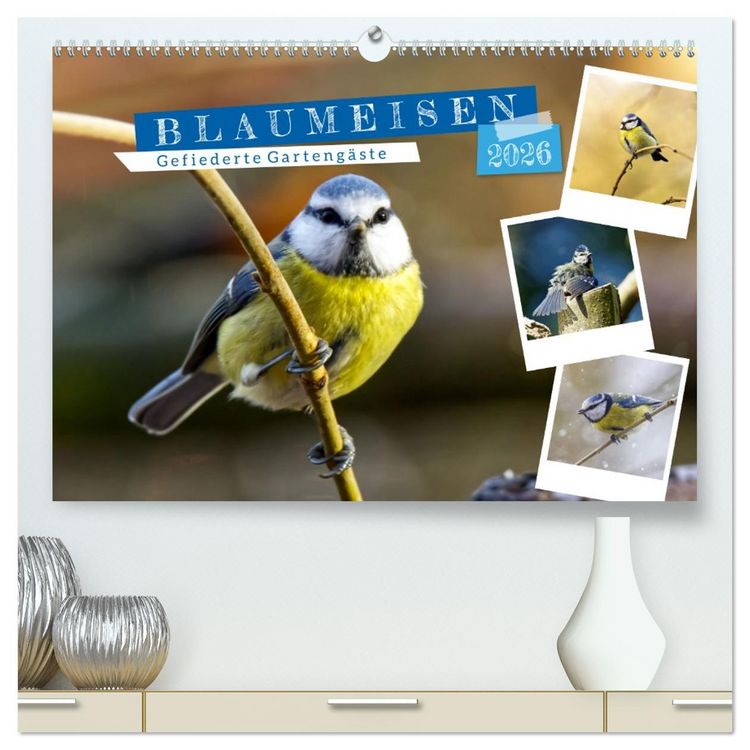 Produktbild: Gefiederte Garteng&auml;ste, Blaumeisen (hochwertiger Premium Wandkalender 2026 DIN A2 quer), Kunstdruck in Hochglanz