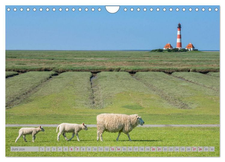 Produktbild: Leuchtt&uuml;rme - W&auml;chter der K&uuml;sten (Wandkalender 2026 DIN A4 quer), CALVENDO Monatskalender