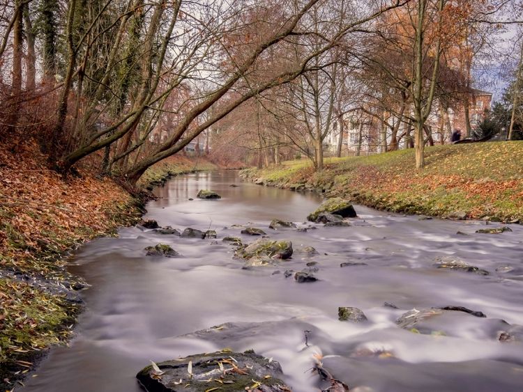 Produktbild: CALVENDO Puzzle H&ouml;nne 1000 Teile Puzzle quer | 1000 Teile Lege-Gr&ouml;&szlig;e 64 &times; 48 cm Foto-Puzzle f&uuml;r gl&uuml;ckliche Stunden