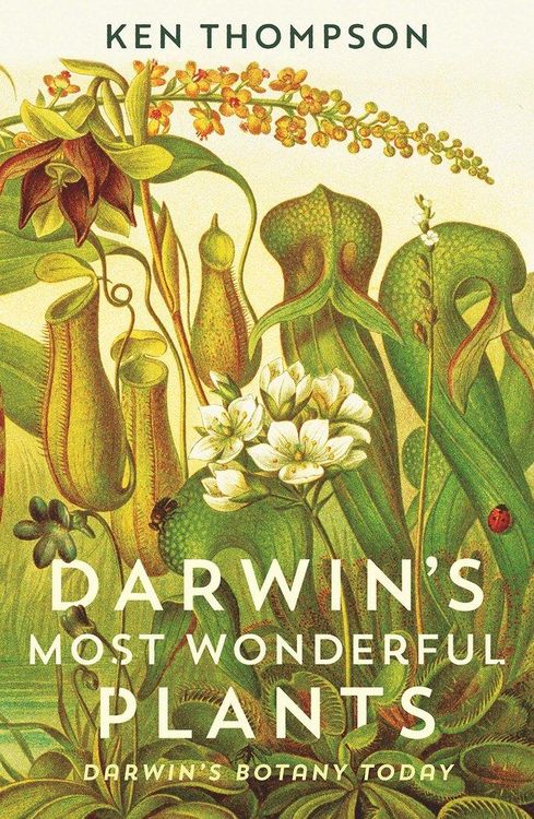 Produktbild: Darwin's Most Wonderful Plants