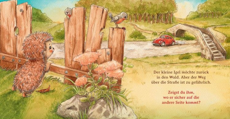 Produktbild: Schlaf sch&ouml;n, kleiner Igel