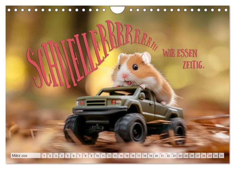 Produktbild: Hamsterhumor - Kleine Zuckerschnute, aber oho (Wandkalender 2026 DIN A4 quer), CALVENDO Monatskalender