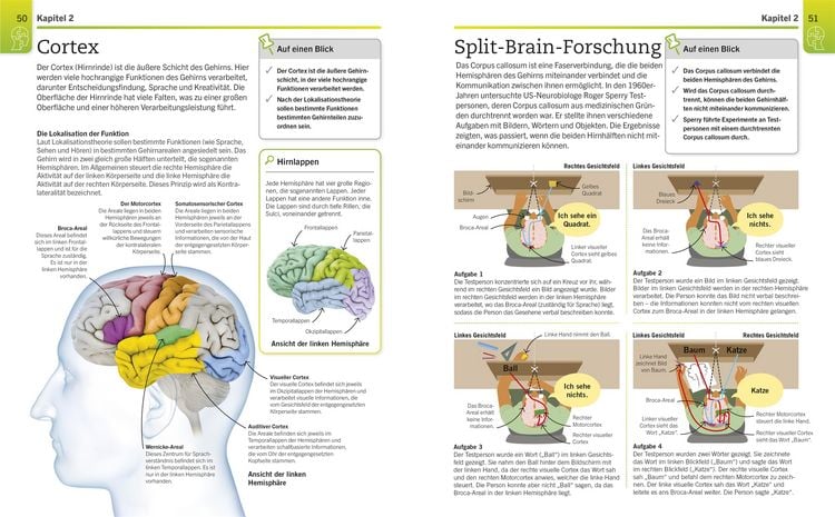 Produktbild: Visuelles Wissen. Psychologie